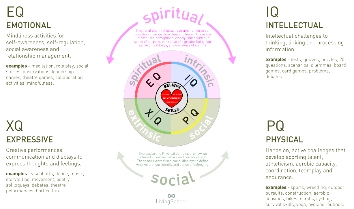 Holo holistic learning lens diagram showing EQ, IQ, PQ, and XQ.