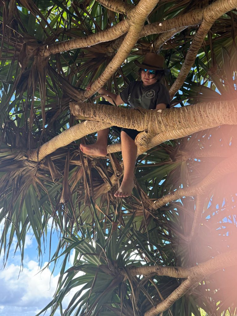 Living School connects with Nature in Term 2