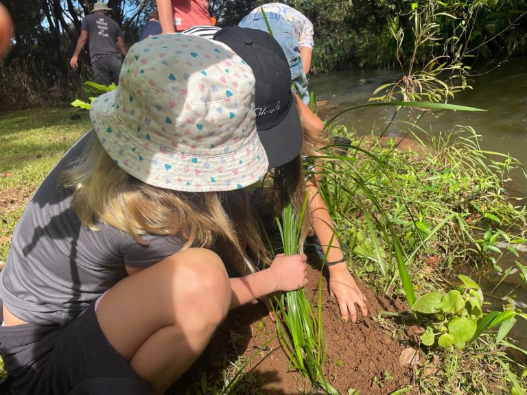 Living School Year 4 students plant out riparian strips to regenerate