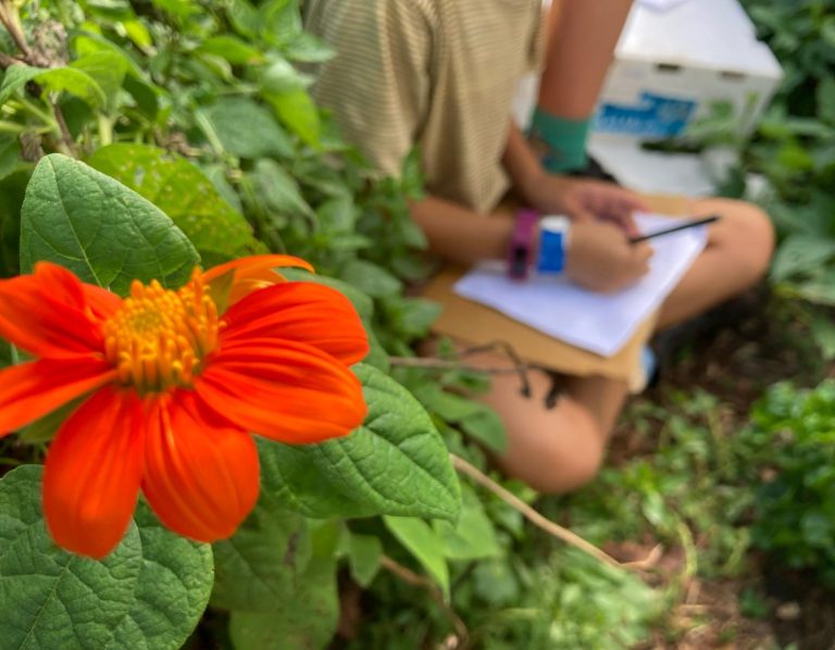 Living School students participate in our garden to learn.