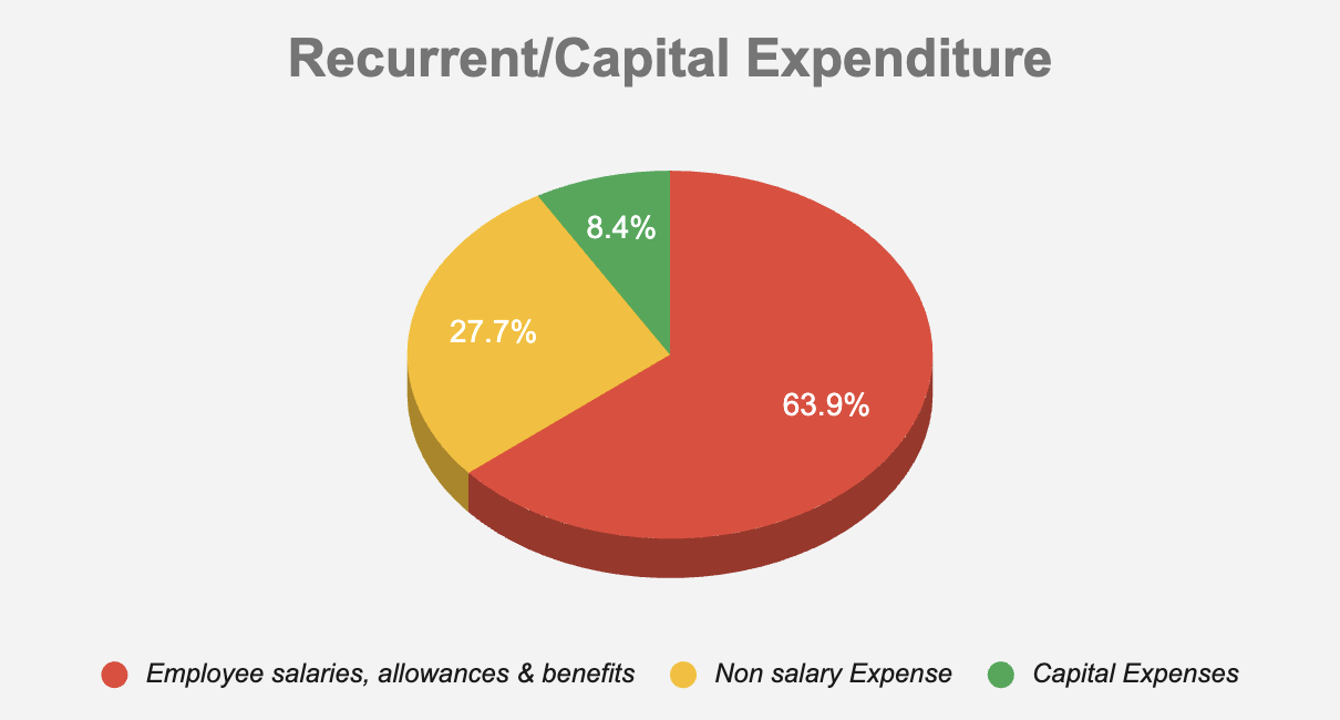 Recurrent/Capital Expenditure